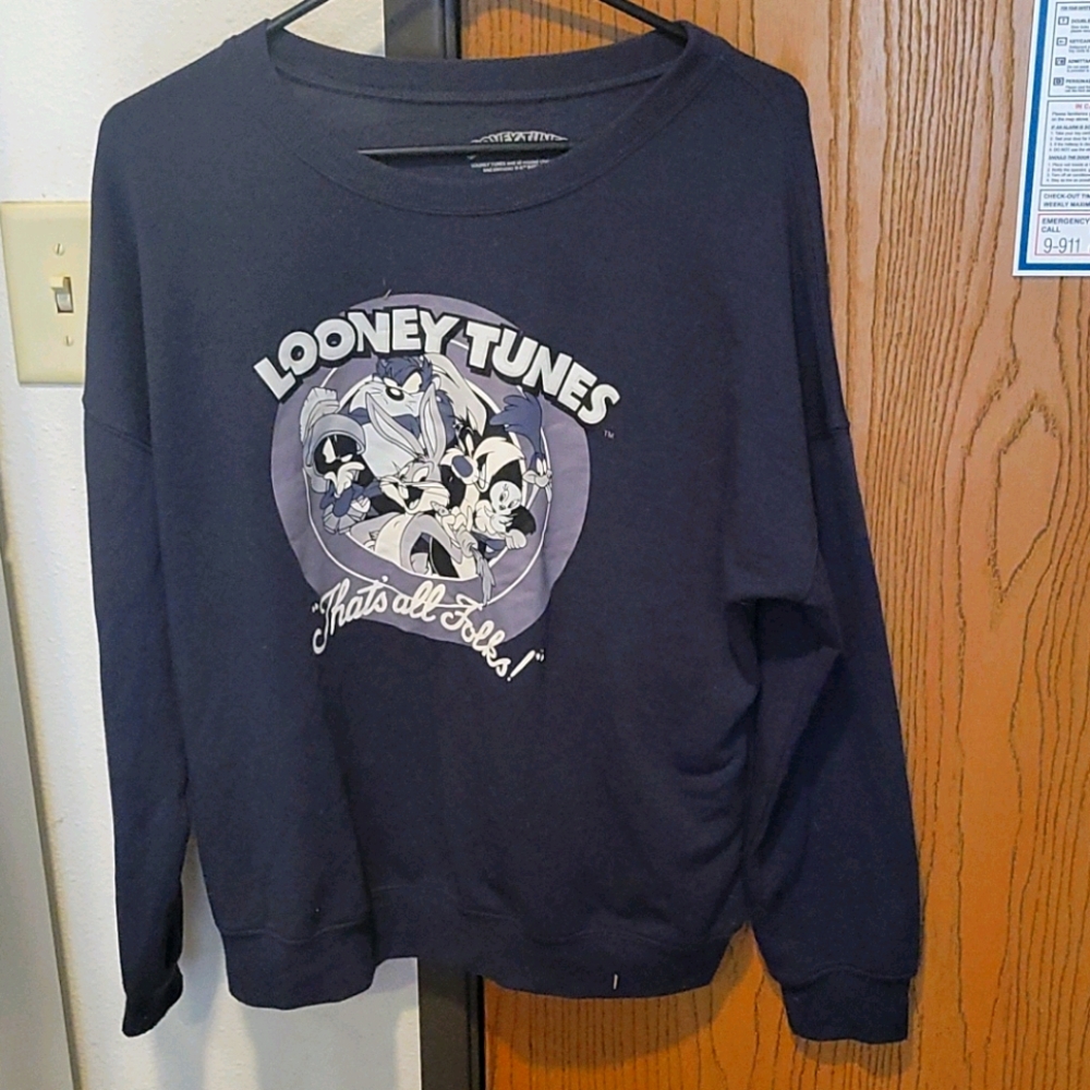 Looney Tunes Sweater